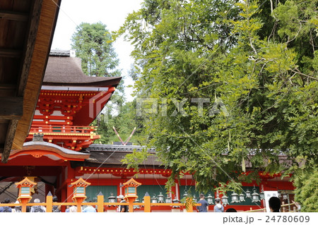 奈良県  春日大社 24780609