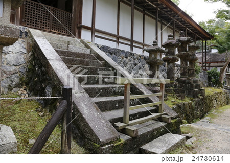 奈良県  春日大社 24780614