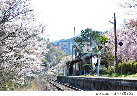 春の矢祭山駅 24780855