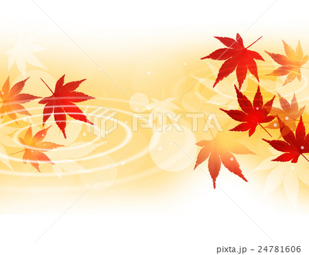波紋　水面　紅葉　秋 24781606