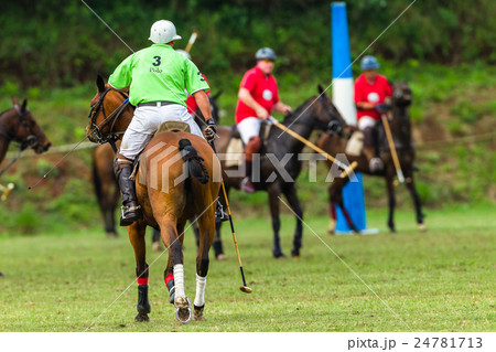 Polo Players Ponies Action 24781713