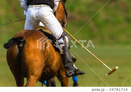 Polo Player Action Polo Player Action 24781714