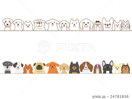 小型犬のボーダー 24781836