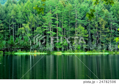初秋の御射鹿池 初秋の御射鹿池 24782506