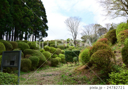 山中城跡 元西櫓下の堀(2016.4) 山中城跡 元西櫓下の堀(2016.4) 24782721