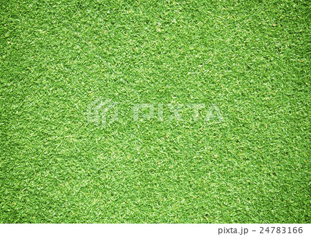 Green grass background Green grass background 24783166