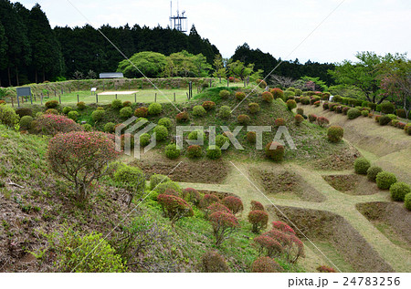 山中城跡　西の丸跡下の障子堀（2016.4） 24783256