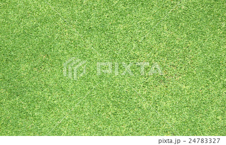Green grass background Green grass background 24783327