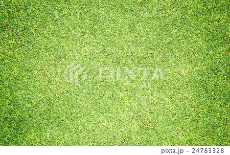 Green grass background Green grass background 24783328