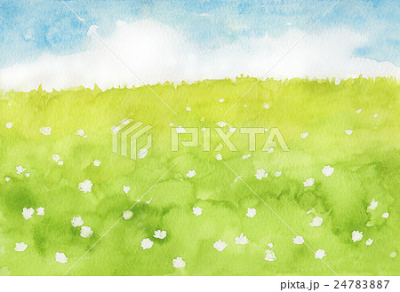 クローバーの咲く草原のイラスト素材 2477