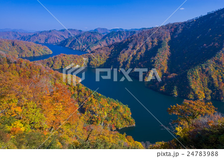 紅葉する田子倉湖の写真素材 2479