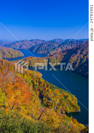 紅葉する田子倉湖の写真素材