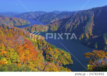 紅葉する田子倉湖の写真素材