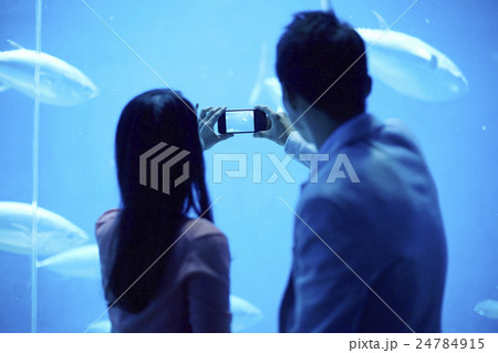 水族館デート 24784915
