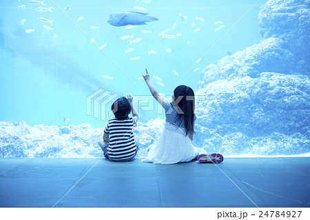 水族館　子ども 24784927