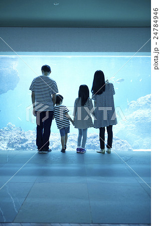 水族館　ファミリー 24784946