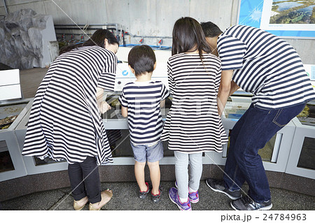 水族館　ふれあい体験 24784963
