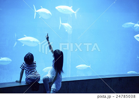 水族館 姉弟 お出かけ 水族館 姉弟 お出かけ 24785038