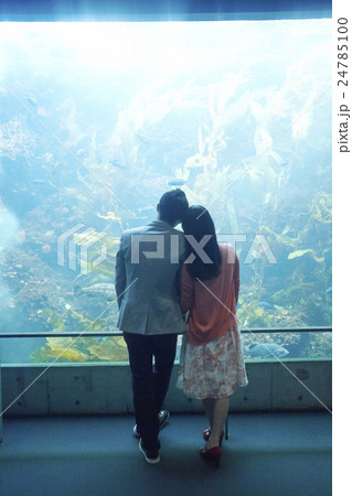 水族館デート 24785100