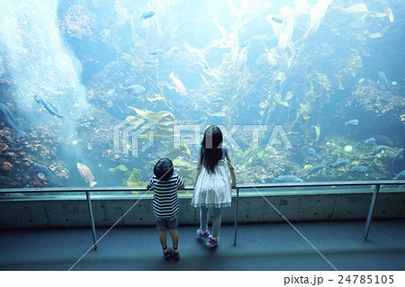 水族館 姉弟 お出かけの写真素材 水族館 姉弟 お出かけの写真素材