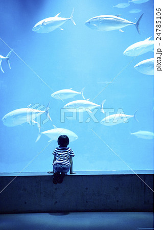 水族館　男の子　ポートレート 24785106