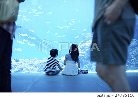 水族館　姉弟　お出かけ 24785116