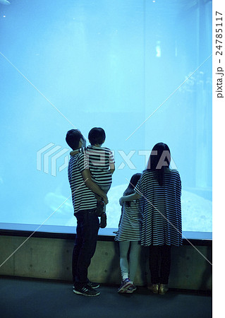 水族館 ファミリー 水族館 ファミリー 24785117