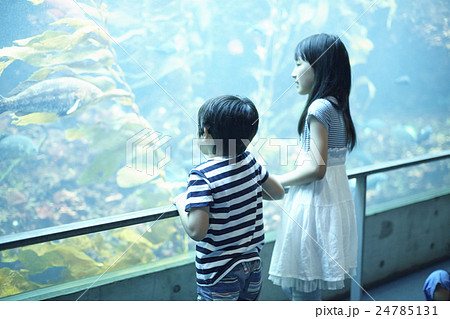 水族館　姉弟　お出かけ 24785131