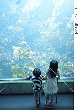 水族館 姉弟 お出かけ 水族館 姉弟 お出かけ 24785132