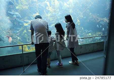 水族館　ファミリー 24785177