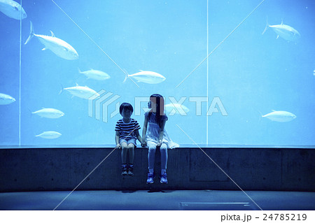 水族館　姉弟　お出かけ 24785219