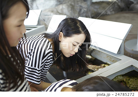 水族館　ふれあい体験 24785272