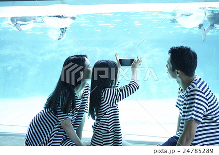 ファミリー 水族館 ファミリー 水族館 24785289