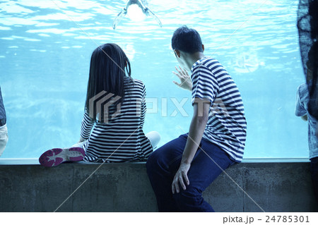 ファミリー　水族館 24785301