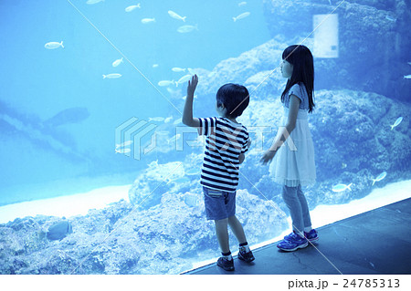 水族館　子ども 24785313