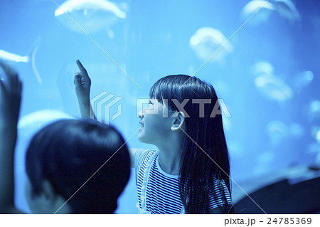 水族館　姉弟　お出かけ 24785369
