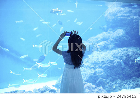 水族館　女の子　スマートフォン 24785415