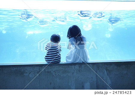 水族館　姉弟　お出かけ 24785423