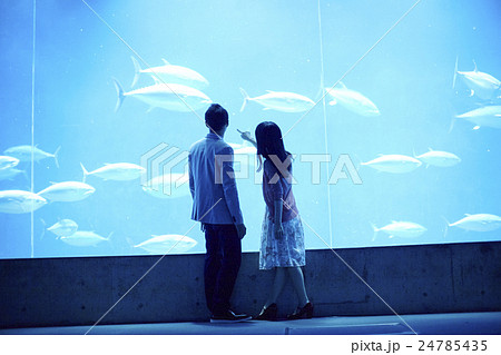 水族館デート 水族館デート 24785435