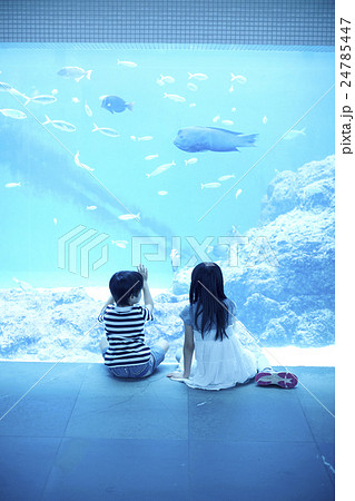 水族館　子ども 24785447
