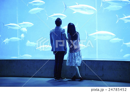 水族館デート 水族館デート 24785452