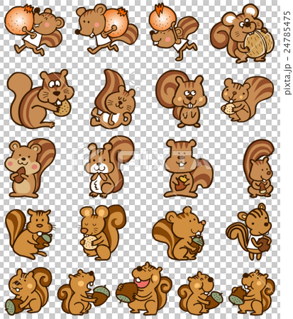 Squirrel 01 - Stock Illustration [24785475] - PIXTA