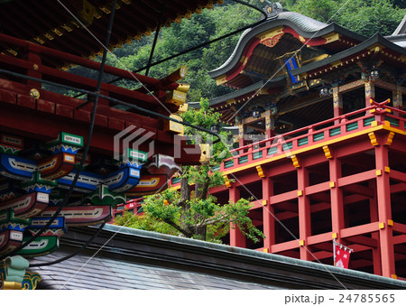祐徳稲荷神社 24785565