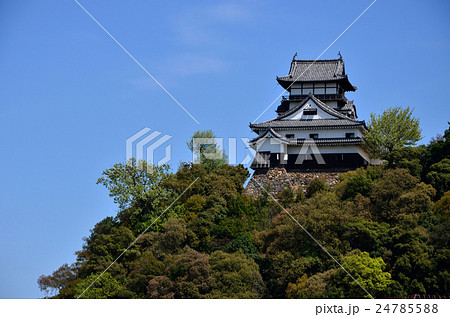 木曽川からの犬山城（2016.4） 24785588
