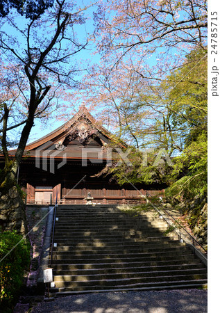 三井寺　金堂（2016.4） 24785715