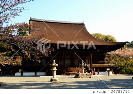 三井寺 金堂(2016.4) 三井寺 金堂(2016.4) 24785716