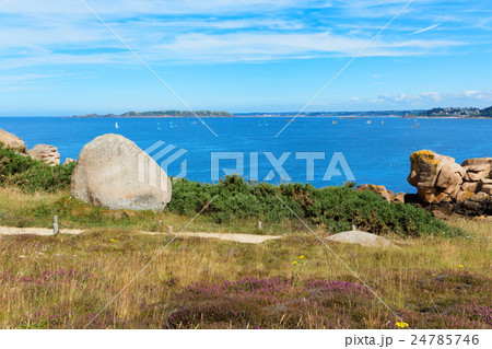 ブルターニュ地方のプルマナックのバラ色の花崗岩の海岸 24785746