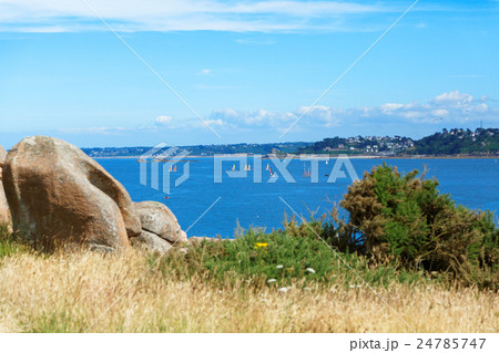 ブルターニュ地方のプルマナックのバラ色の花崗岩の海岸 24785747