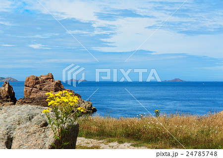 ブルターニュ地方のプルマナックのバラ色の花崗岩の海岸 24785748