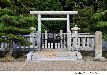 京都 長慶天皇陵(2016.4) 京都 長慶天皇陵(2016.4) 24786236